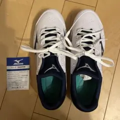 Item thumbnail for item e53ec348-6362-4fc9-a84f-46dec47cd0b6