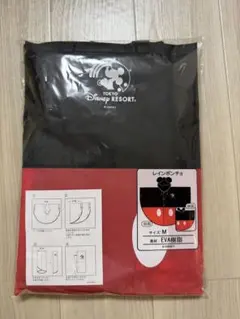 Item thumbnail for item e0285bd1-d2f6-469d-ab2d-0e8ddf88d938