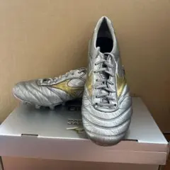 2026年最新】モレリアdnaの人気アイテム - メルカリ