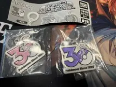 ポケモン メタルチャームマスコット 30周年 3種セット ミュウ　ミュウツー
