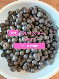 生ブルーベリー　1キロ　エコメルカリ便のサムネイル