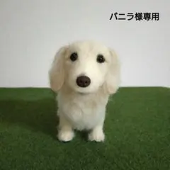 バニラ様専用　羊毛フェルト　犬　ミニチュアダックスフンド　ハンドメイド