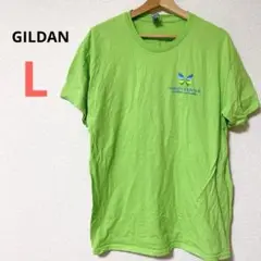 GILDAN Tシャツ グリーン 半袖　L