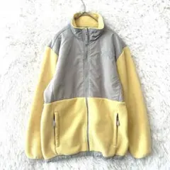 【希少XL】THE NORTH FACEポーラテック デナリジャケット イエロー