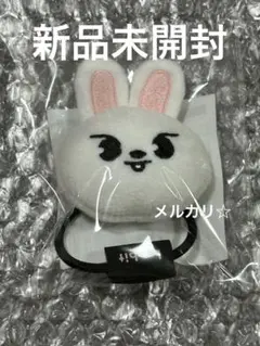 ① straykids スキズ skzoo ヘアゴム リノ　リービット