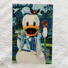 ディズニーシー2011 ドナルド スペシャルフォト・写真 - メルカリ