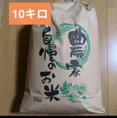 精米済み　コシヒカリ　10キロ 長野県産　令和6年のサムネイル