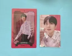 SEVENTEEN 2023 シーグリ トレカ ウォヌ