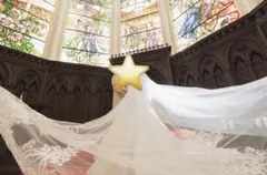 ロングウェディングベール（3M）