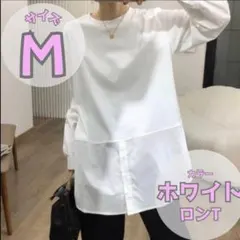 Item thumbnail for item dc60d9b4-941b-414e-a5a8-16f77301cce2