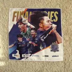 サンフレッチェ広島 タオル