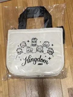 三代目 JSB KINGDOM キャラクター保冷バッグ