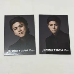 Item thumbnail for item 651b160b-476b-4254-aabd-9031c3744e6c