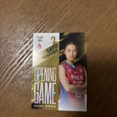 Item thumbnail for item 620cd956-0732-463f-a0a8-4fb40da5849c