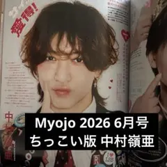 Saaya【年末年始海外、発送不可】様 リクエスト 2点 まとめ商品