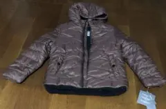 Item thumbnail for item 8bfafe0e-066a-4eeb-85ab-9960dd686083