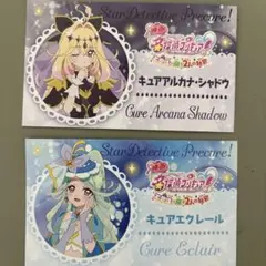 たんプリ 映画 特典 第3弾 名刺風カード アルカナシャドウ エクレール