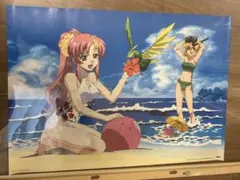 機動戦士ガンダムSEED ポスター ラクス カガリ
