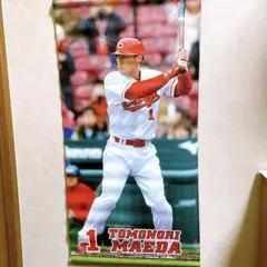 元三遠ネオフェニックス川嶋勇人サイン入りバナー 等身大#5 - メルカリ