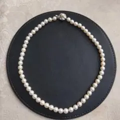 Item thumbnail for item 57b386fd-ea02-49f9-9df3-cc81816884a5