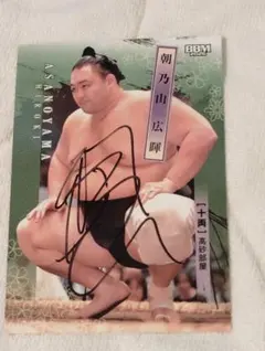 Item thumbnail for item 669fa5cc-07ef-45ef-a718-44ba084ff566