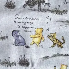 Item thumbnail for item 923e9319-408c-4cec-8119-1c515f074234