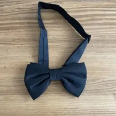 Item thumbnail for item fb9660e2-1881-498f-b86d-1fc98eeb9f81