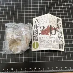 未開封【海洋堂】世界博物画立体図鑑 ATLAS ANIMA 3D ジンベイザメ
