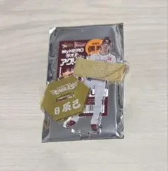 Item thumbnail for item 9b3f2763-5440-40f9-9396-de0374e3cdda