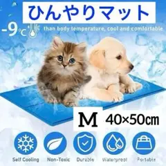 Item thumbnail for item abe668ae-746f-403d-b8f5-df1e80634324