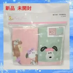 PEANUTS スヌーピー SNOOPY ミニタオル2枚セット USJ限定品
