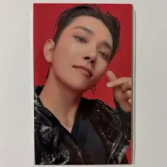 SEVENTEEN ウジ HBD ユニバ 埼玉 会場 トレカ 1枚 - メルカリ