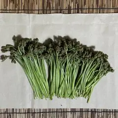 15%引き　愛媛県産 青わらび430g ＋おまけ（3割れ深め）100g