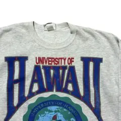 古着Lee 90s HAWAII スウェットXL 全面プリント