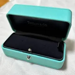 極美品　ティファニー　保存袋&空箱　30個セット　アクセサリー入れ　ポーチ TIFFANY&Co. ティファニー 箱 保存袋 中綿付き 化粧箱 巾着 空箱