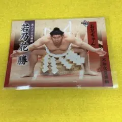 2026年最新】若乃花の人気アイテム - メルカリ