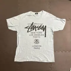 Stussy ステューシー ワールドツアー ロゴTシャツ 人気デザイン 水色