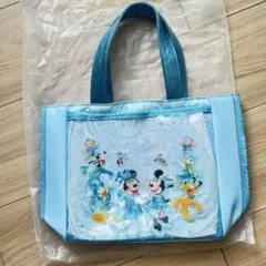 ディズニーシー 25周年 スーベニア ランチケース お手ふきキャリー TDS