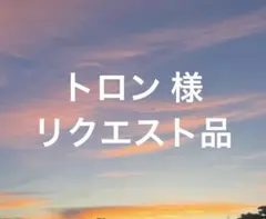 トロン様 リクエスト 3点 まとめ商品