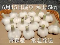'26年産 低農薬 生にんにくバラ 5kg 福地 ホワイト6片 サイズ M~2L 26年産 低農薬 生にんにく 5kg 福地ホワイト6片 サイズ L~2L - メルカリ