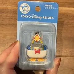 東京ディズニーランド