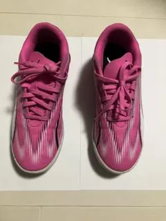 Item thumbnail for item e437d4f0-1365-4a87-8701-52dc33545061