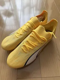 Item thumbnail for item 6947e17d-17fa-4523-9755-42a198dfa90d