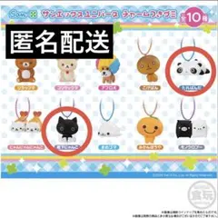 サンエックスユニバース　チャームつきグミ　靴下にゃんこ たれぱんだ 2個セット