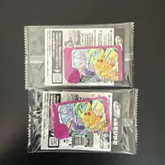 【新品／未使用】ポケモンフレンダ スペシャルフレンダピック 非売品 2枚セット