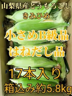 山梨県産もろこし　きみひめ　B級品　17本入り　はねだし品箱込み約5.8kgのサムネイル