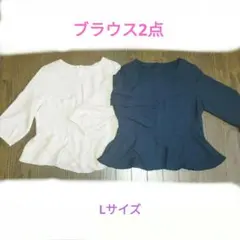 ペプラムブラウス 2点セット ピンクベージュ、 ネイビー