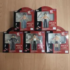 ブルース・リーBruce Lee 可動フィギュア 5体セット