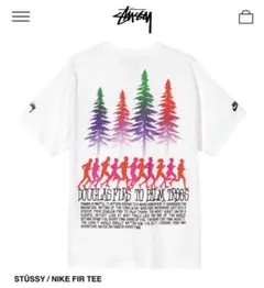 美品‼️送料込みNIKE stussy コラボTシャツ