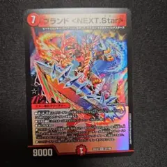 ブランド ＜NEXT.Star＞